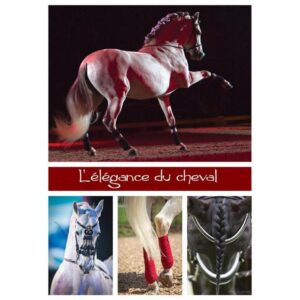 puzzle-1000-pieces-l'elegance-du-cheval-nathan-jeu-occasion-ludessimo-b-13-1005