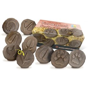 let-s-investigat-farmyard-footprints-jeu-occasion-ludessimo-b-12-2297