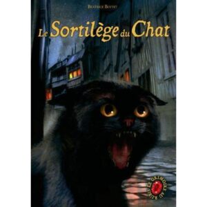 le-sortilege-du-chat-livre-occasion-ludessimo-d-33-2178
