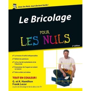 le-bricolage-pour-les-nuls-livre-occasion-ludessimo-d-37-4138