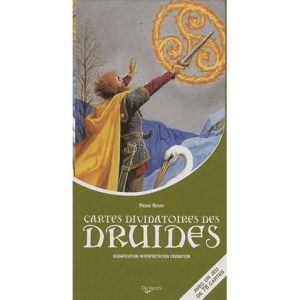 cartes-divintoires-des-druides-de-vecchi-jeu-occasion-ludessimo-a-09-4877
